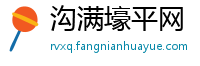 沟满壕平网